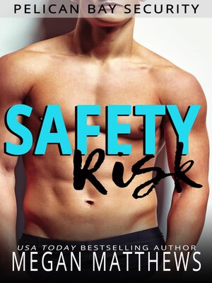 cover image of Safety Risk